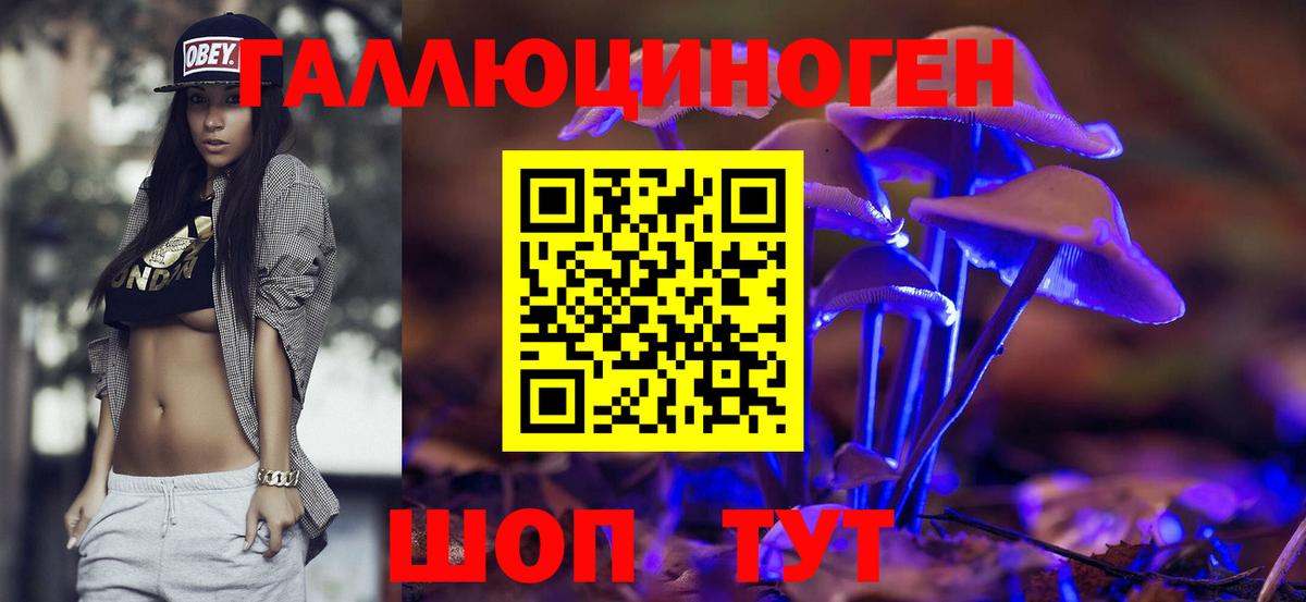 наркотики  Галлюциногенные грибы MAGIC MUSHROOMS  Вход с VPN  Вязьма 